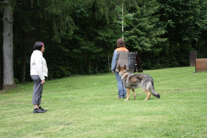 Obedience-Seminar mit Gerlinde Dobler am 22.06.2014