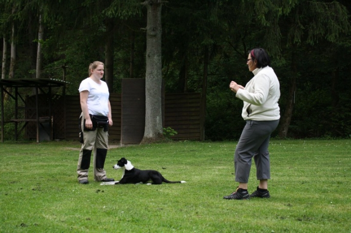 Obedience-Seminar mit Gerlinde Dobler am 22.06.2014