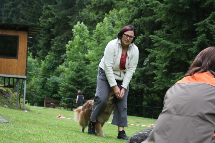 Obedience-Seminar mit Gerlinde Dobler am 22.06.2014