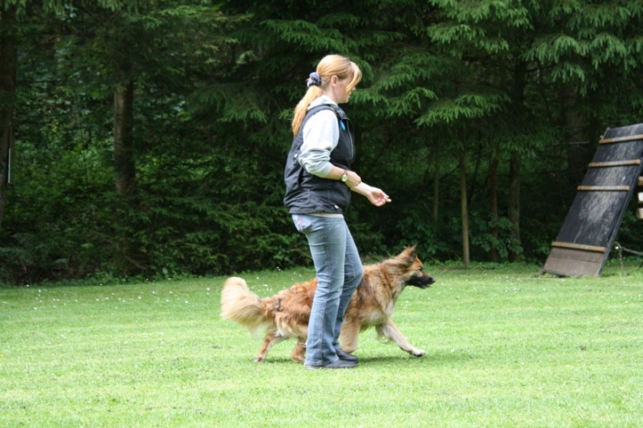 Obedience-Seminar mit Gerlinde Dobler am 22.06.2014