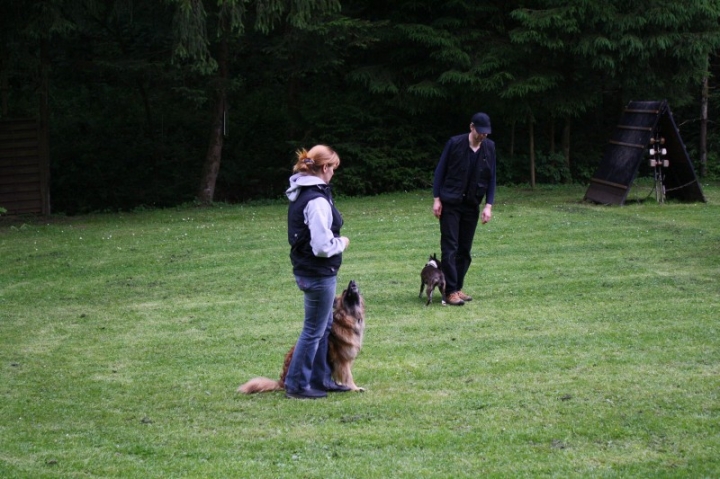 Obedience-Seminar mit Gerlinde Dobler am 22.06.2014