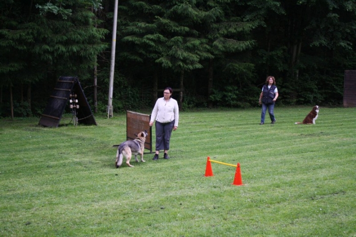 Obedience-Seminar mit Gerlinde Dobler am 22.06.2014