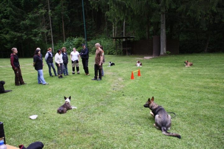 Obedience-Seminar mit Gerlinde Dobler am 22.06.2014
