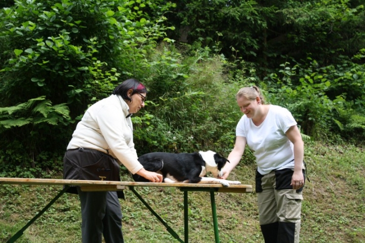 Obedience-Seminar mit Gerlinde Dobler am 22.06.2014