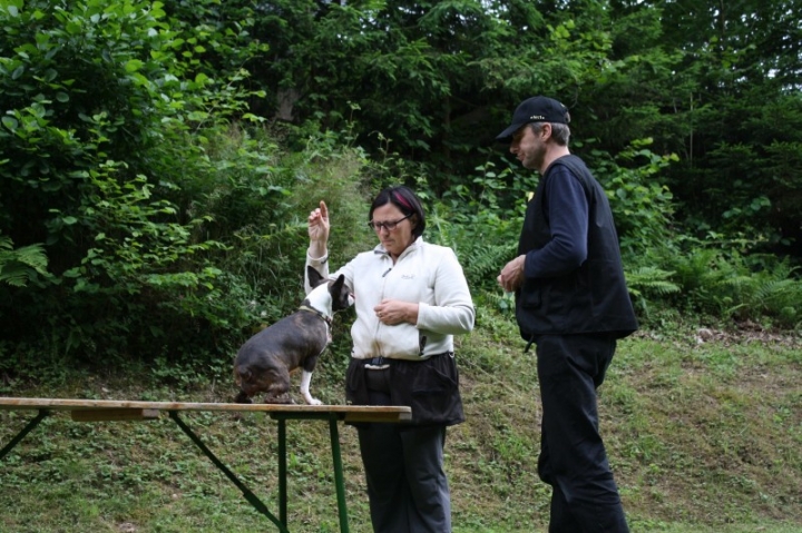 Obedience-Seminar mit Gerlinde Dobler am 22.06.2014