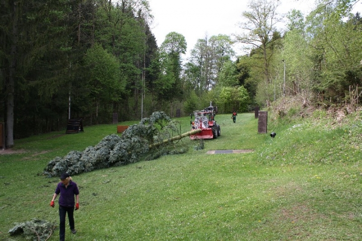 Baumfällaktion auf dem Hundeplatz