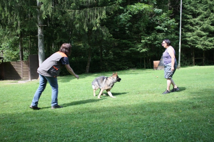Obedience-Seminar mit Gerlinde Dobler am 06.07.2014