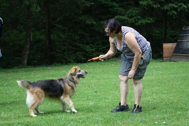Obedience-Seminar mit Gerlinde Dobler am 06.07.2014