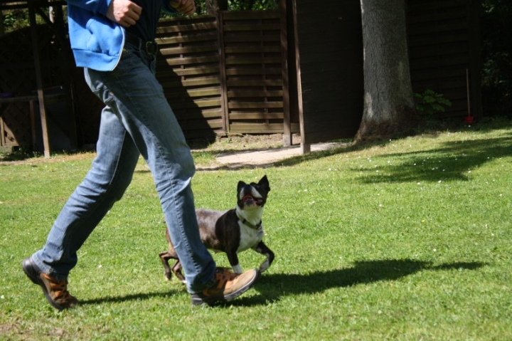 Obedience-Seminar mit Gerlinde Dobler am 06.07.2014