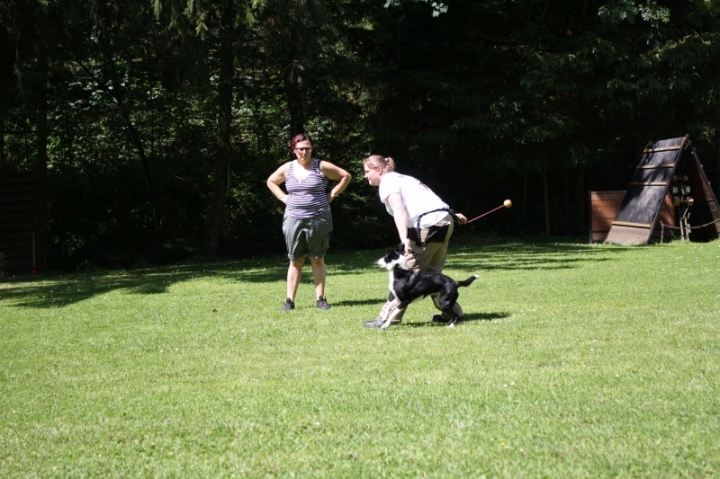 Obedience-Seminar mit Gerlinde Dobler am 06.07.2014