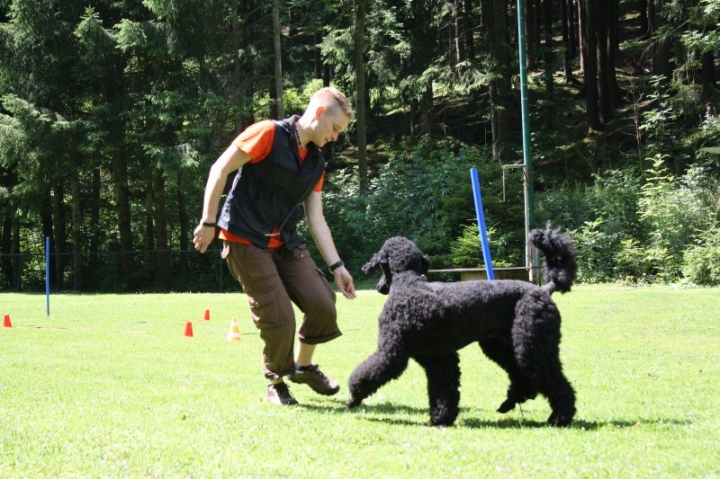Obedience-Seminar mit Gerlinde Dobler am 06.07.2014