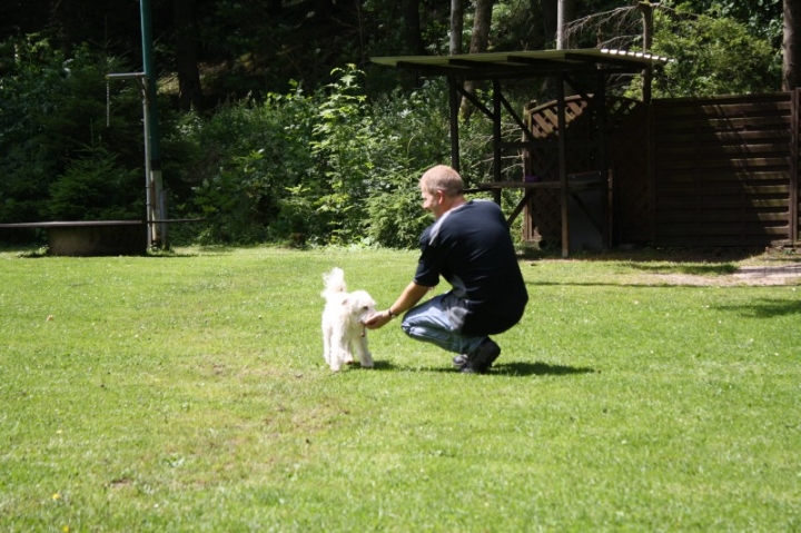 Obedience-Seminar mit Gerlinde Dobler am 06.07.2014