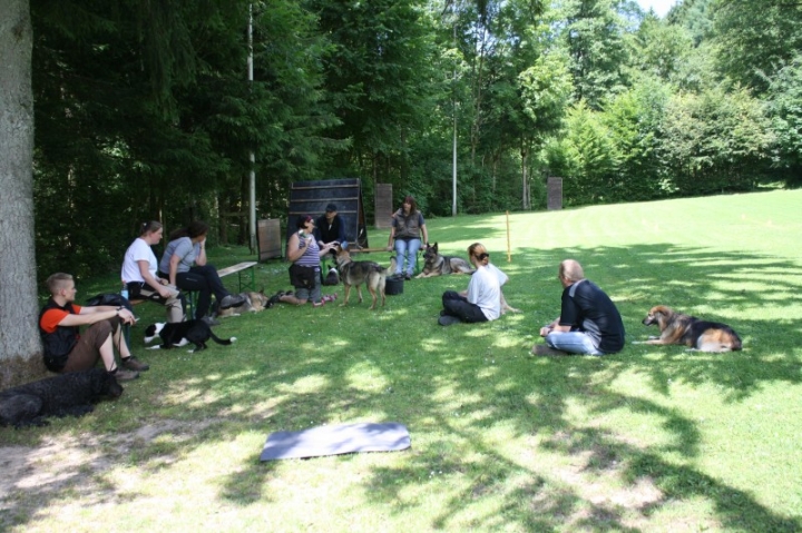 Obedience-Seminar mit Gerlinde Dobler am 06.07.2014