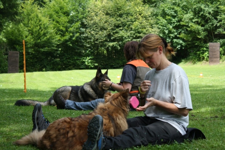 Obedience-Seminar mit Gerlinde Dobler am 06.07.2014