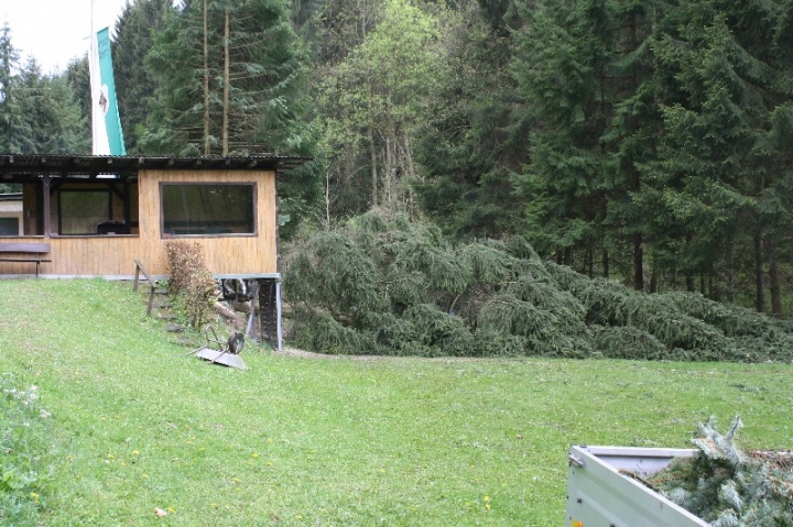 Baumfällaktion auf dem Hundeplatz