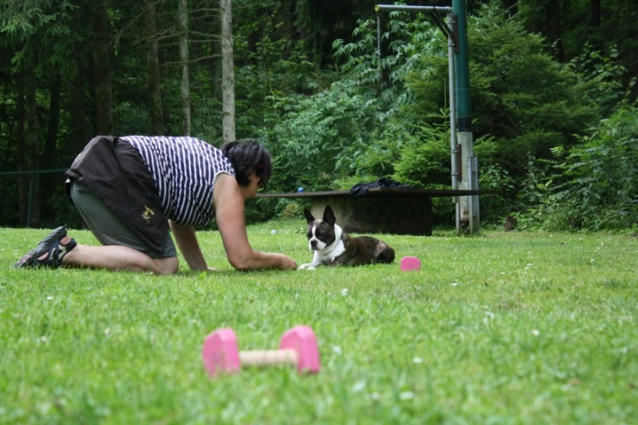 Obedience-Seminar mit Gerlinde Dobler am 06.07.2014
