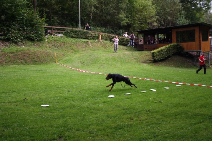 Sommerfest 2014