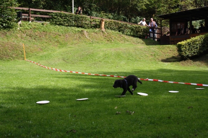 Sommerfest 2014