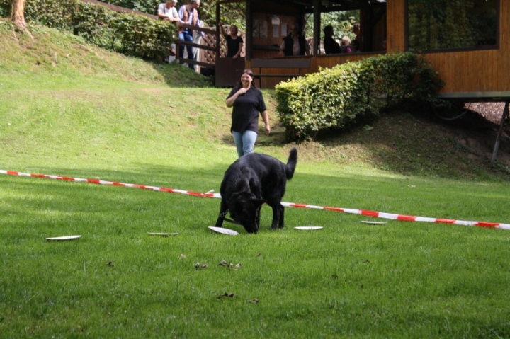 Sommerfest 2014