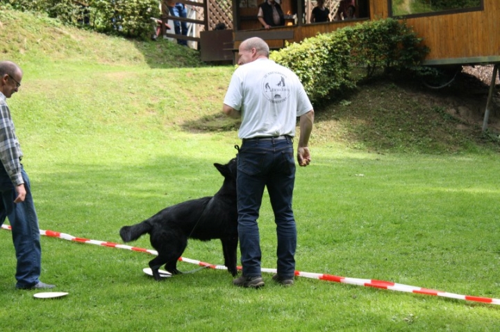 Sommerfest 2014