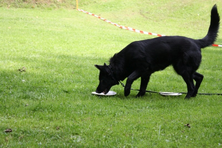 Sommerfest 2014