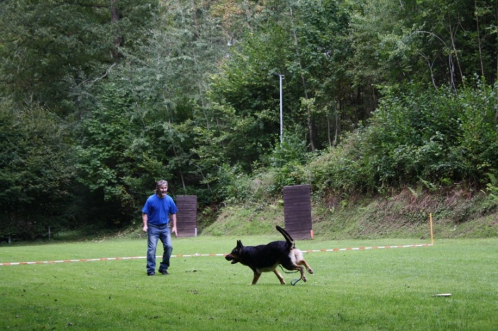 Sommerfest 2014