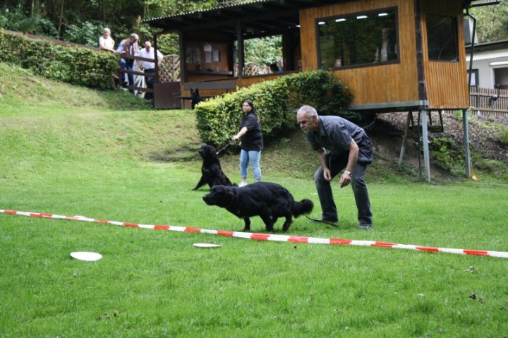 Sommerfest 2014