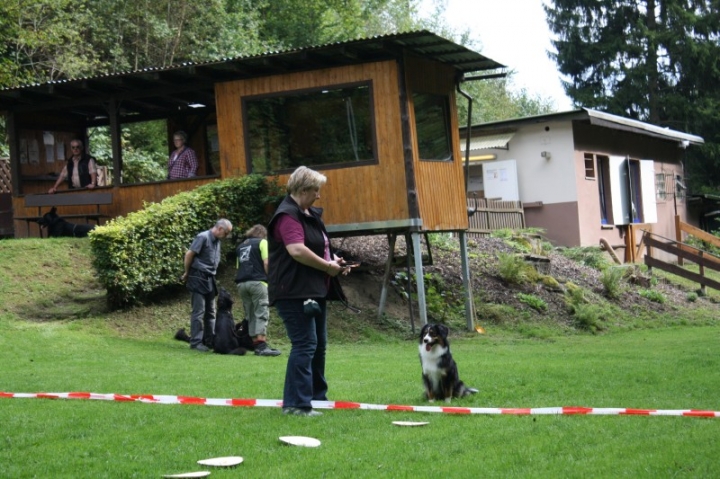 Sommerfest 2014