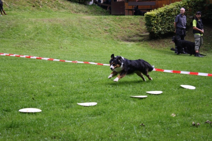 Sommerfest 2014