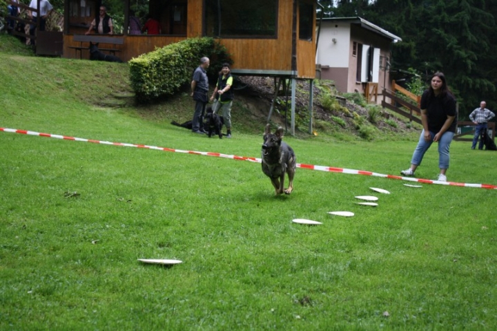 Sommerfest 2014