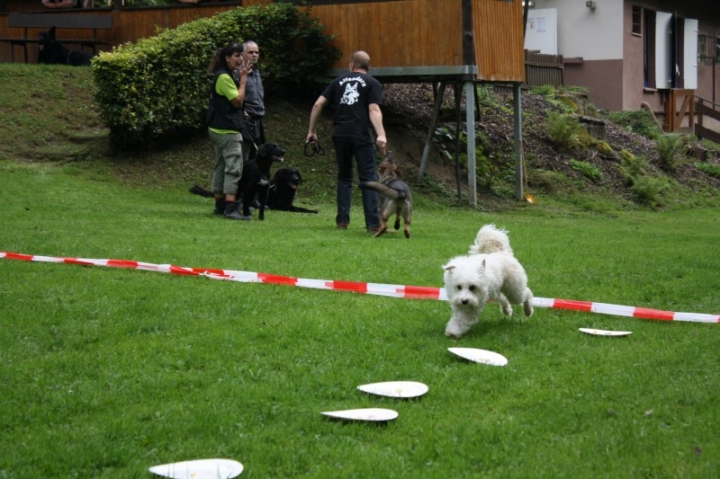 Sommerfest 2014