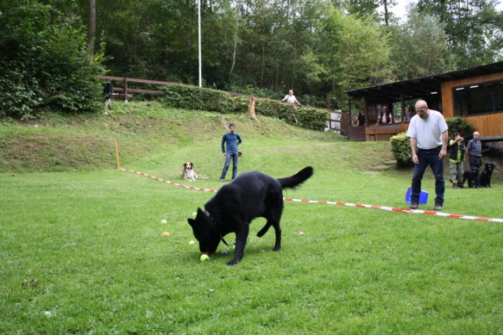Sommerfest 2014
