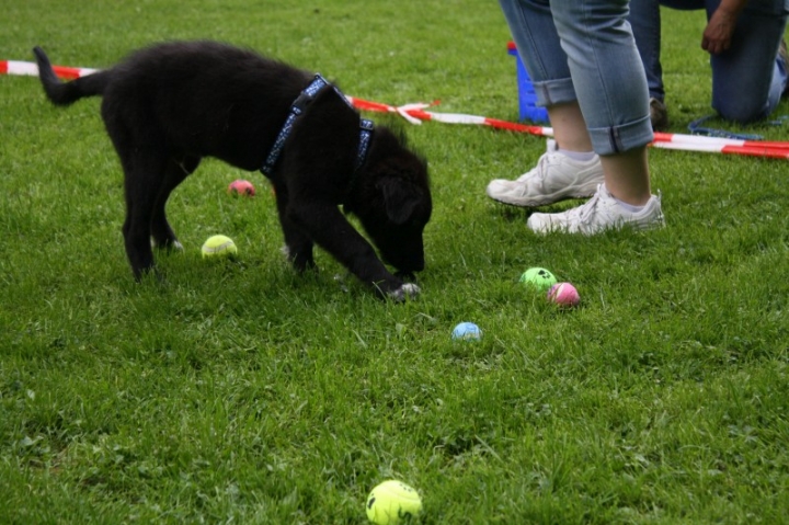 Sommerfest 2014