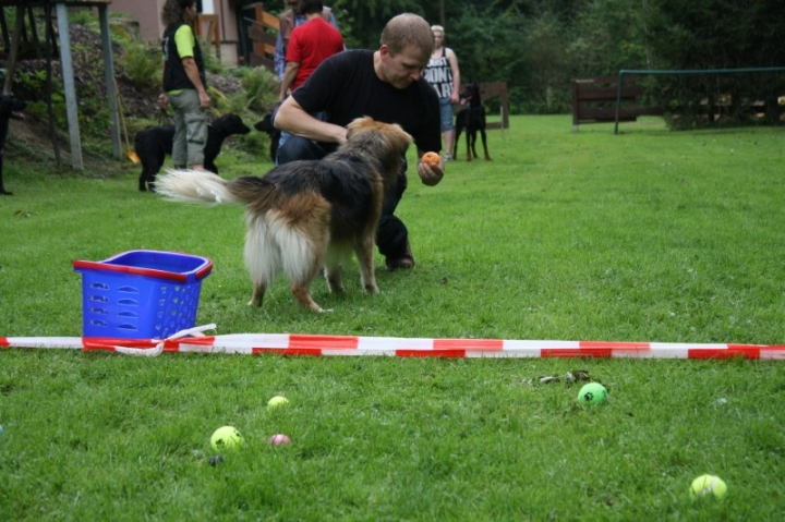 Sommerfest 2014