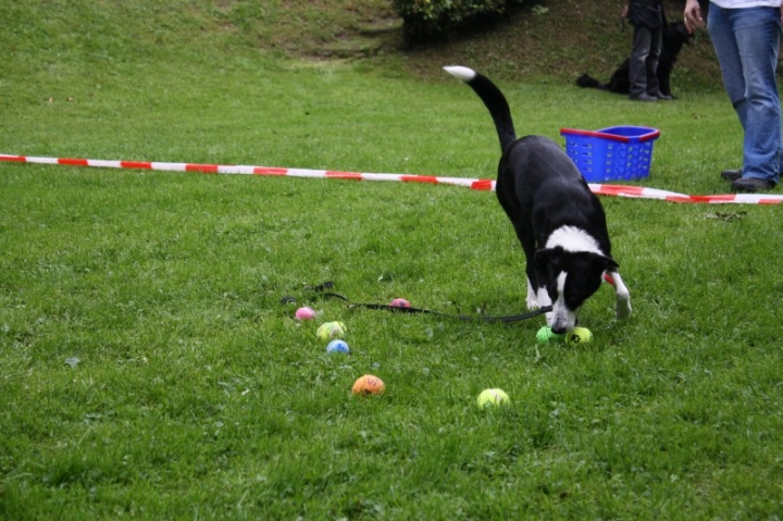 Sommerfest 2014