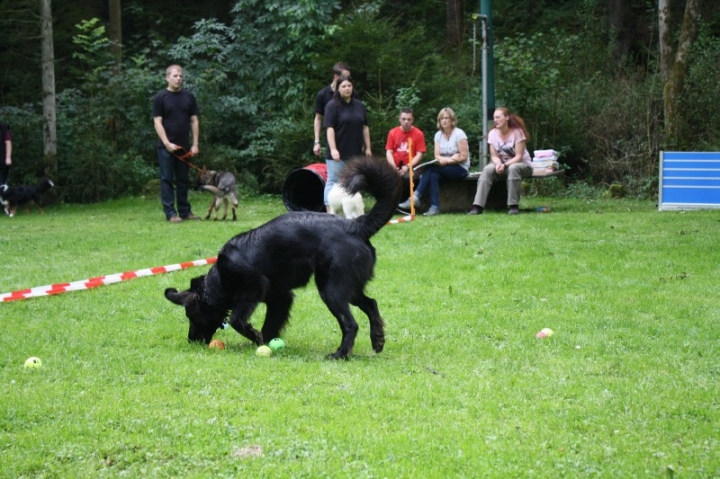 Sommerfest 2014