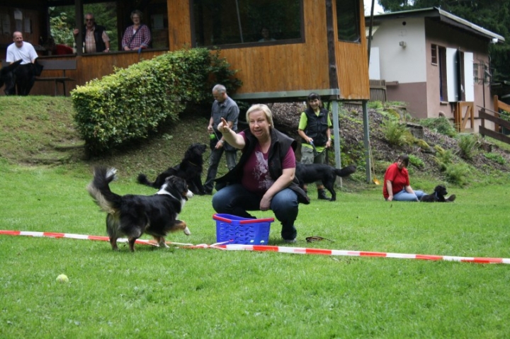 Sommerfest 2014
