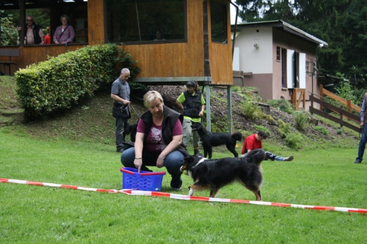 Sommerfest 2014