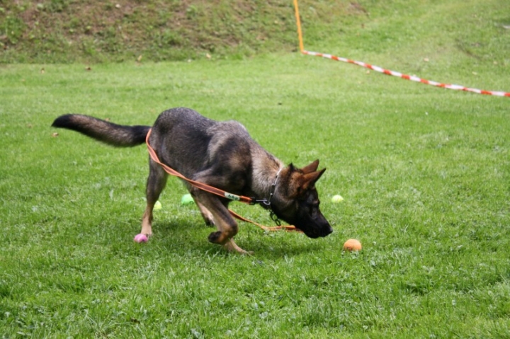 Sommerfest 2014