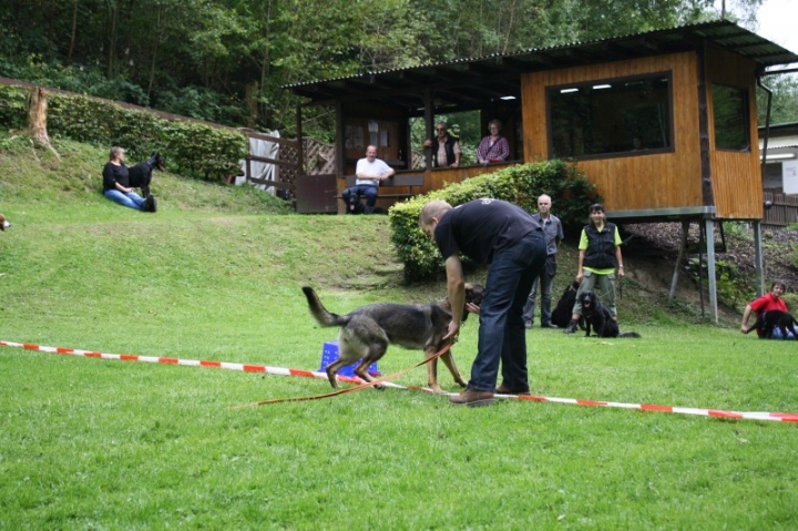 Sommerfest 2014