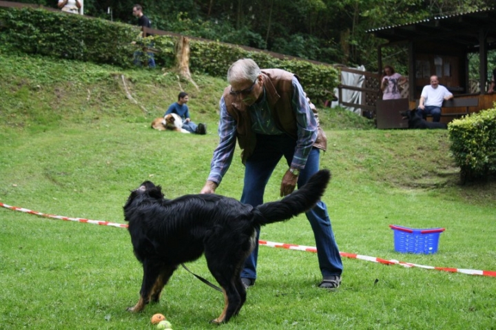 Sommerfest 2014