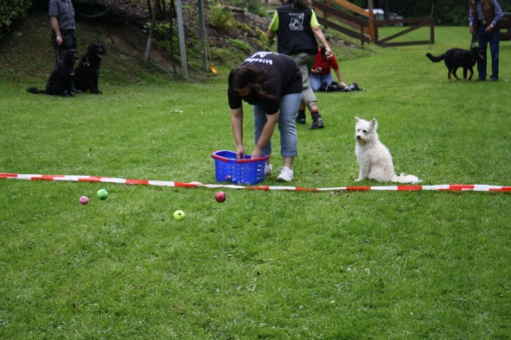 Sommerfest 2014