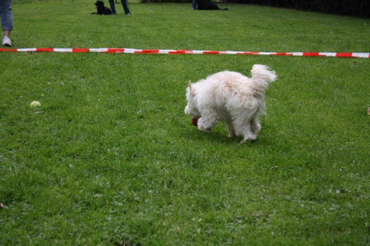 Sommerfest 2014