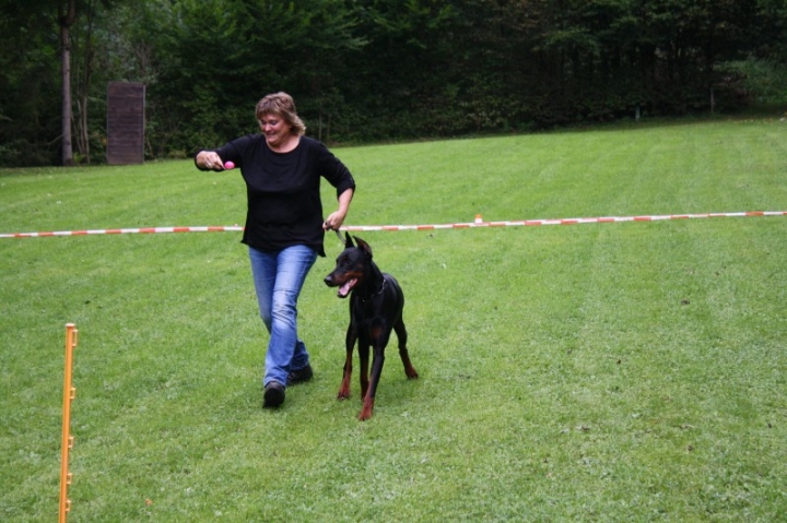 Sommerfest 2014