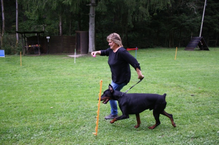 Sommerfest 2014