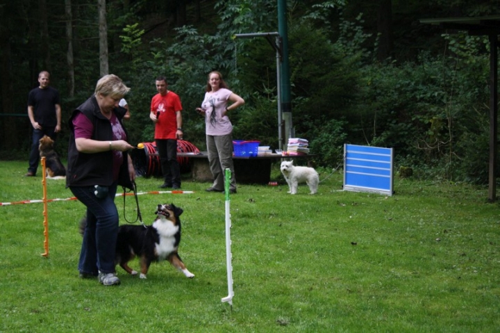 Sommerfest 2014