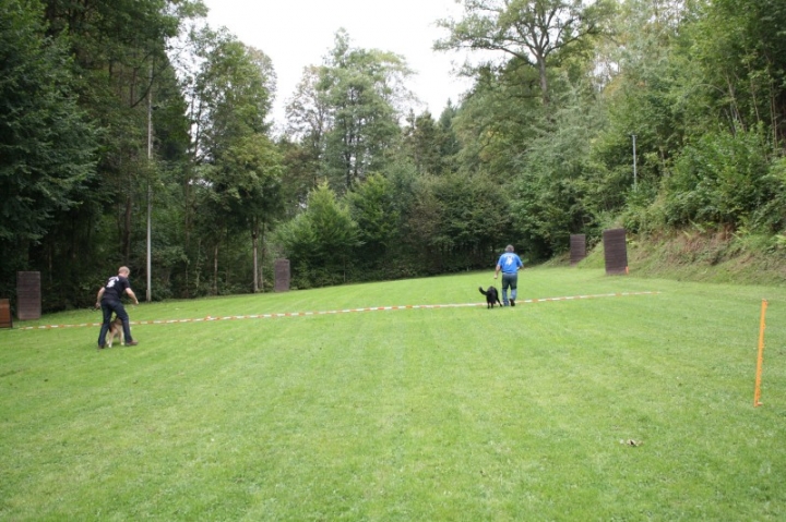 Sommerfest 2014