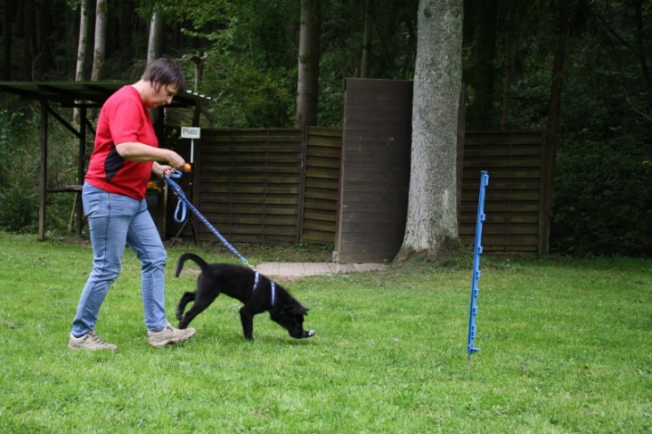 Sommerfest 2014