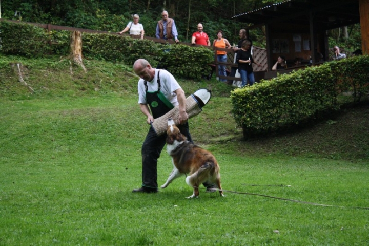 Sommerfest 2014