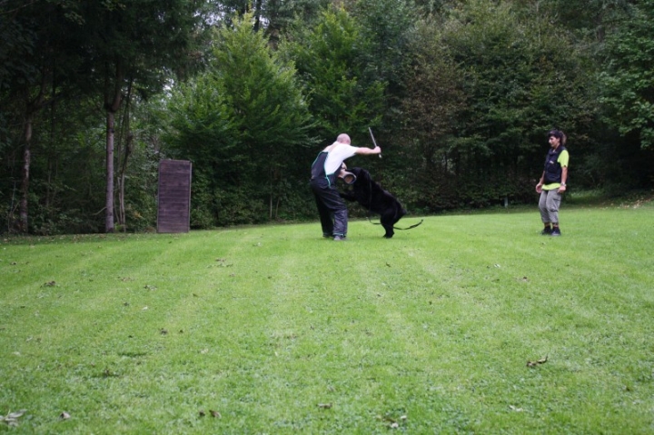 Sommerfest 2014